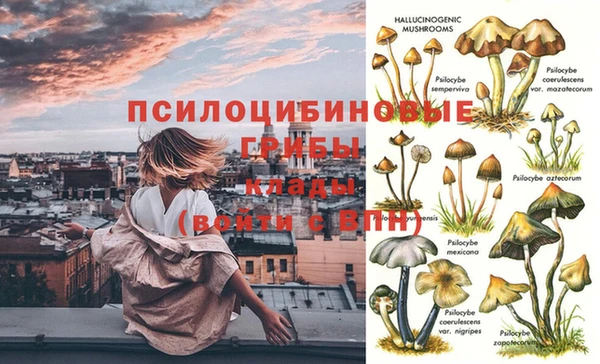 гашишное масло Волоколамск
