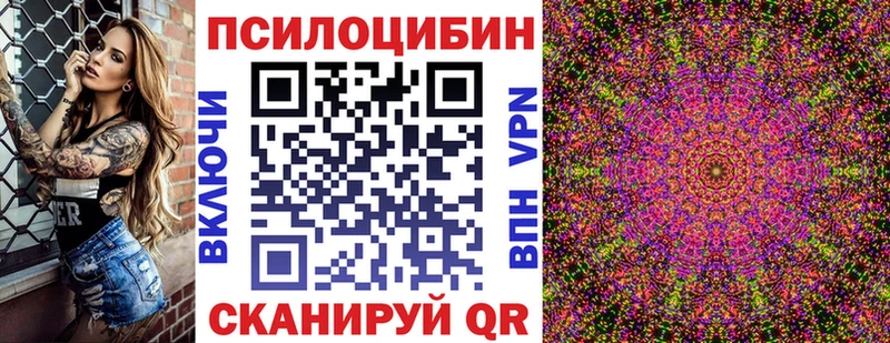 Псилоцибиновые грибы мицелий  Ессентукская 